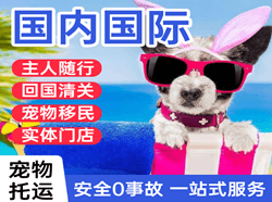 右旗巴丹吉林机场物流国际宠物托运 【国